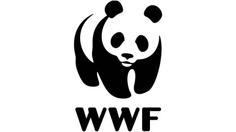 WWF logo of a panda bear