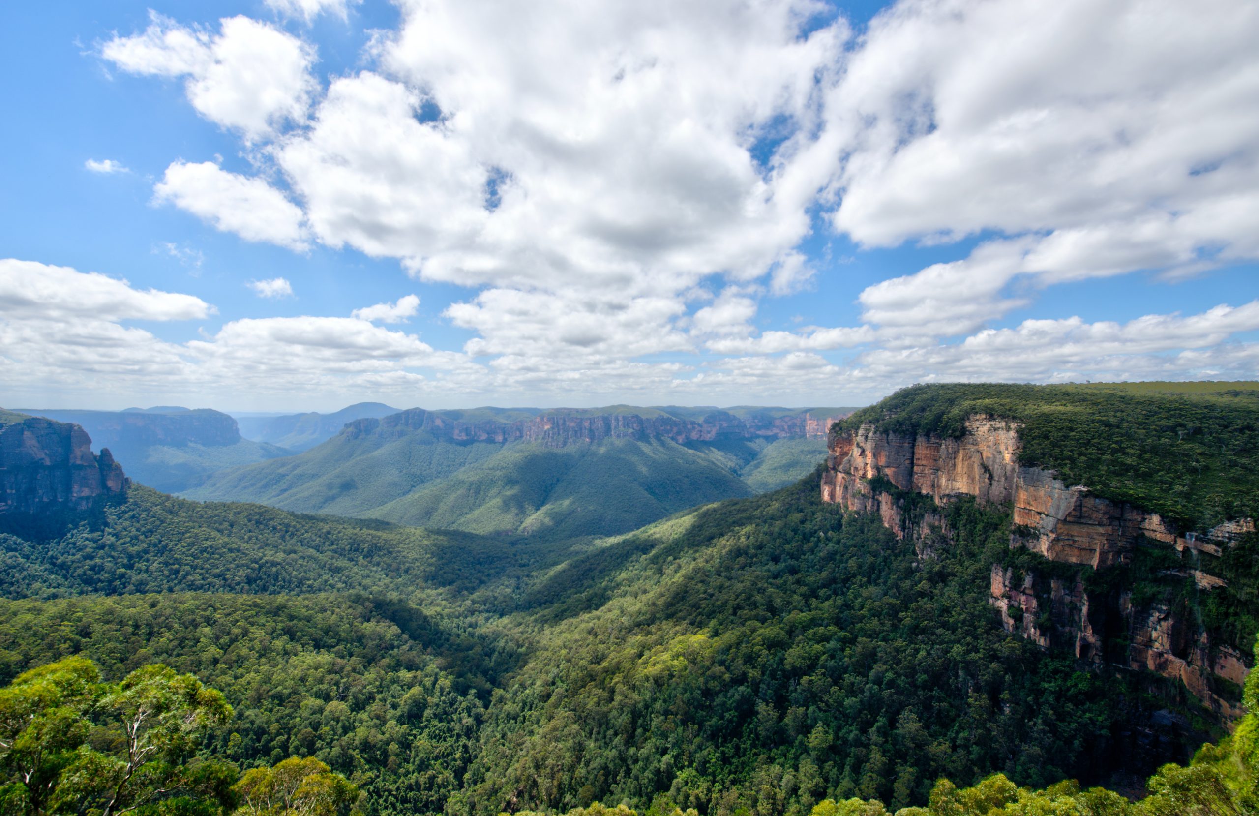 The Blue Mountains sweeping landscape