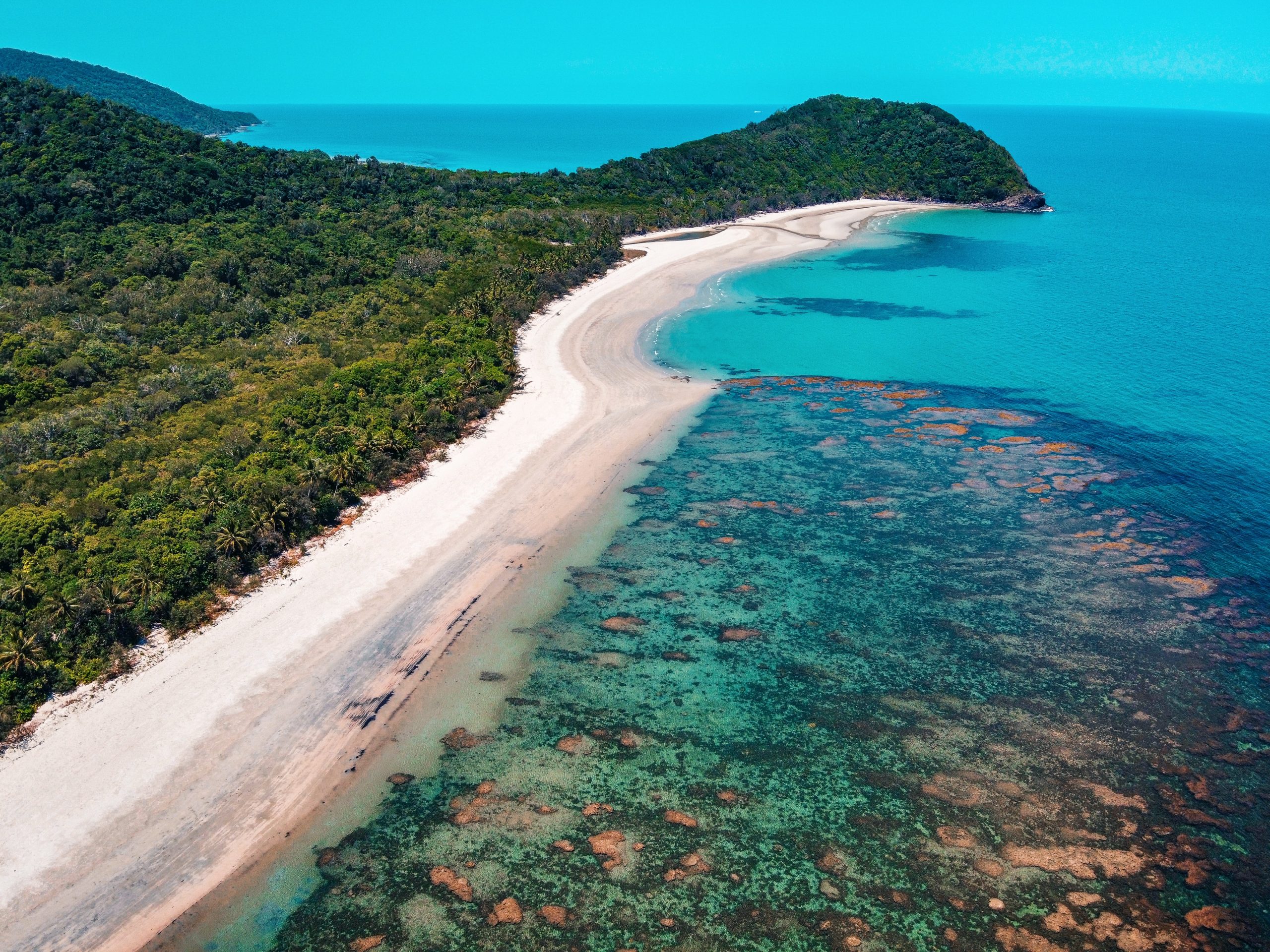 the daintree rainforest meeting the ocean